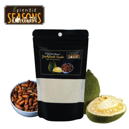 Dehydrated Natural Jackfruit Seeds Powder