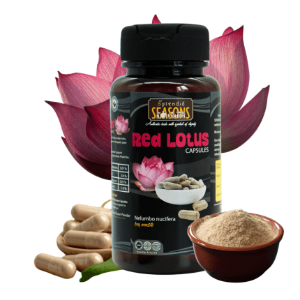 Red Lotus Capsules - Natural Food Supplement
