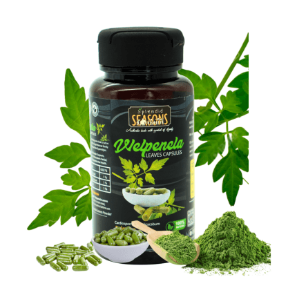 Welpenela Leaves Capsules - Natural Food Supplement